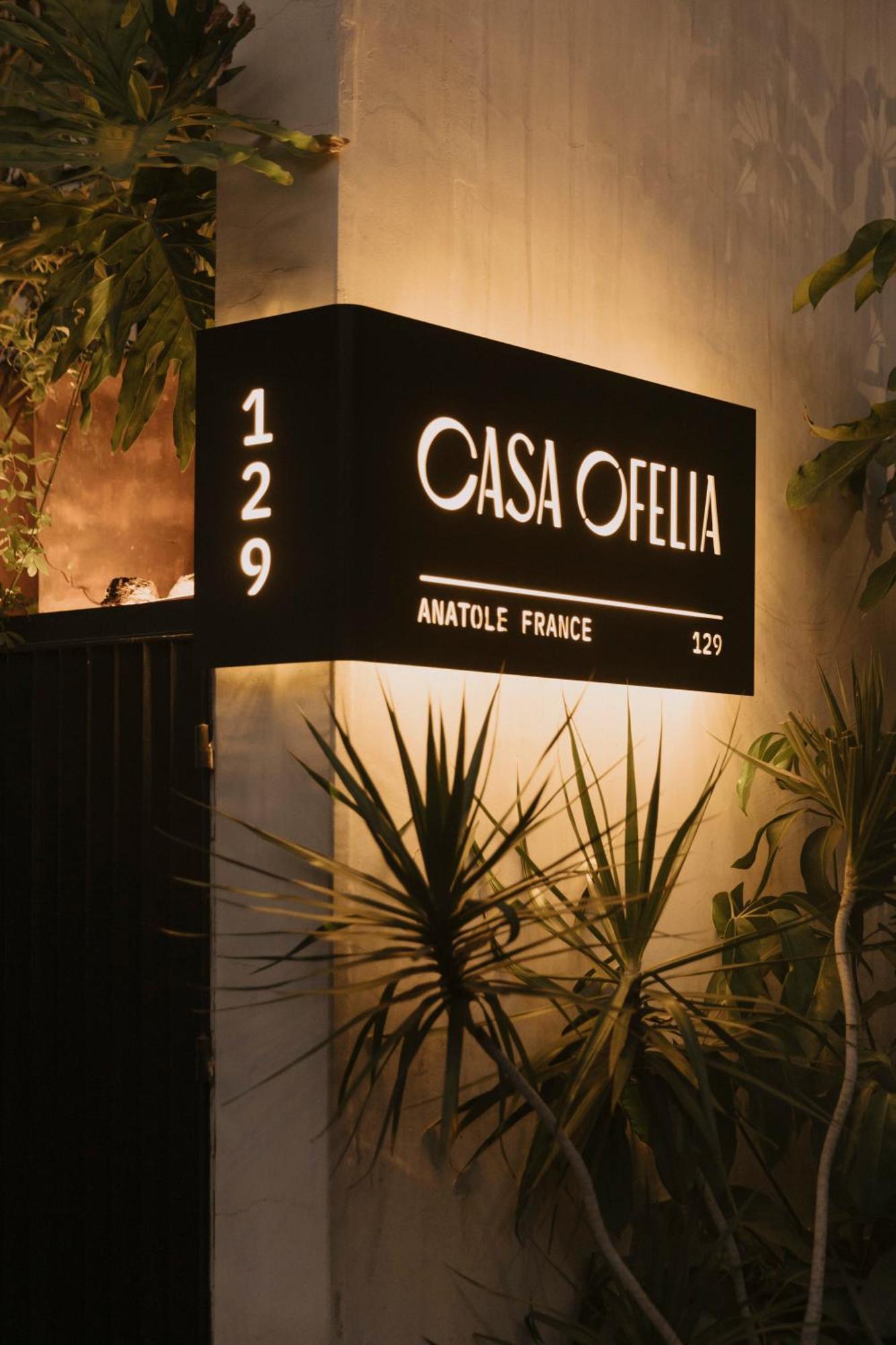 Hotel Casa Ofelia Mexiko-Stadt Exterior foto